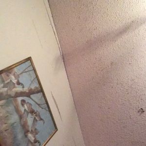 Meet your Posher, Ethan